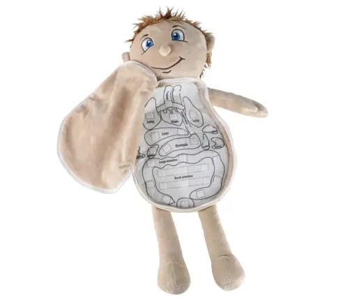 Maskot lelle, kas mācās anatomiju zēns