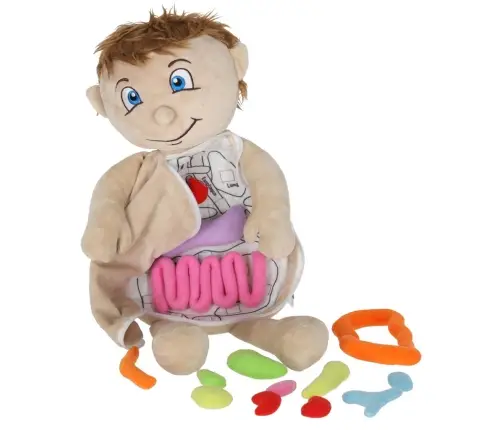 Maskot lelle, kas mācās anatomiju zēns