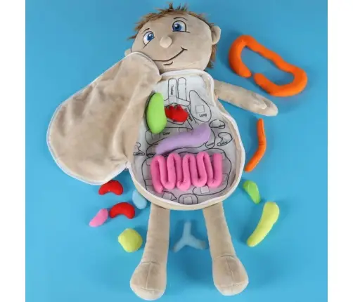 Maskot lelle, kas mācās anatomiju zēns