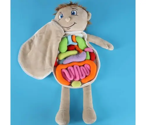 Maskot lelle, kas mācās anatomiju zēns