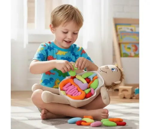 Maskot lelle, kas mācās anatomiju zēns