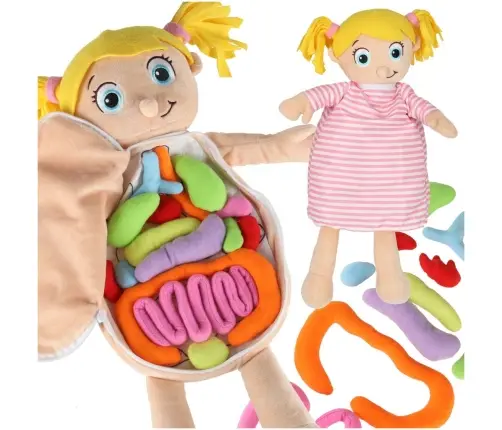Maskot lelle, kas mācās anatomiju meitene