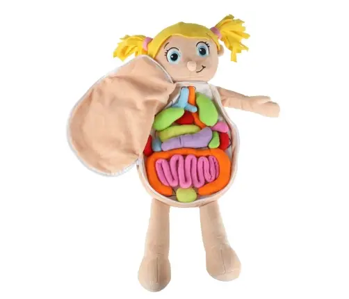 Maskot lelle, kas mācās anatomiju meitene