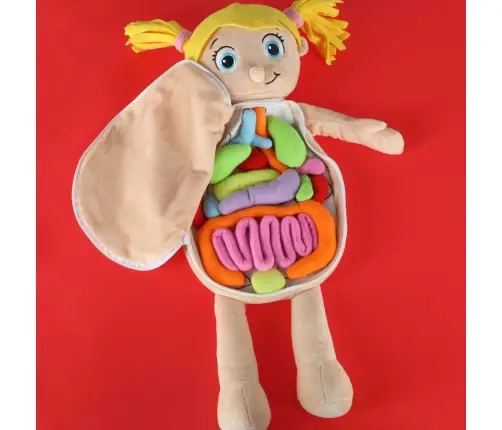 Maskot lelle, kas mācās anatomiju meitene