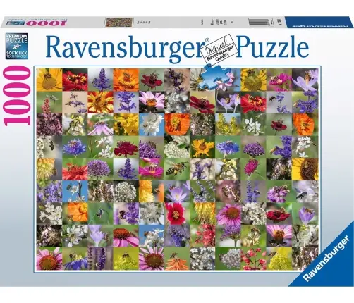 Ravensburger Puzzle Bee Collage 1000pc 17386