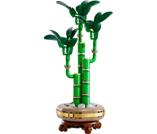 LEGO Botanicals Dracena Sandera 10344