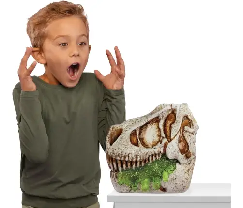 521556EUC GrossMos Flying Style 1 (Blue)