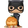 81956 Funko POP Vinyl Excl DC Catwoman w/Pumpkin