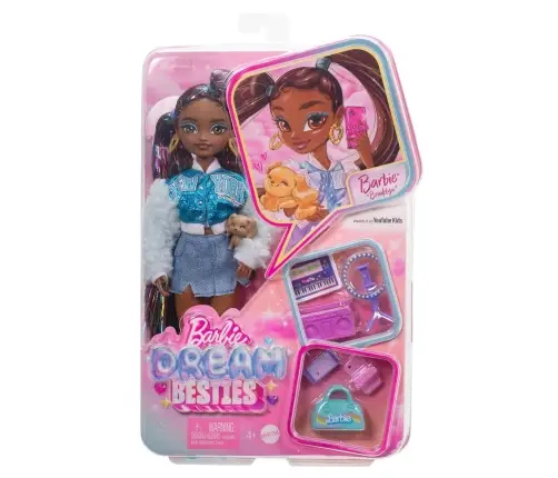 Barbie Dream Besties Brooklyn Doll HYC22