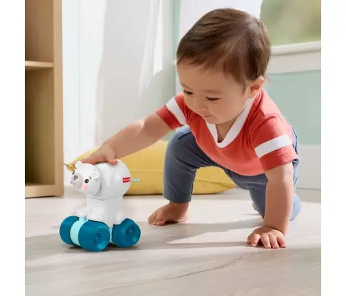 Fisher Price Crawl After Polar Bear JDL63