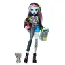 Monster High Frankie Stein Doll HXH73