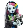 Monster High Frankie Stein Doll HXH73