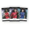 TOPPS Premier League Super Tin Nr 3 PL25-ST1011_C