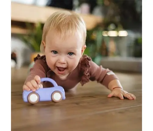 BabyOno rattle Car