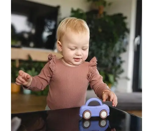 BabyOno rattle Car