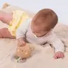 Taf Toys rattle Brendon