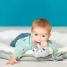Taf Toys Kimmy koala rattle