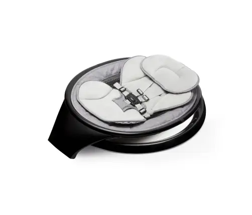 Munchkin beebikiik Black
