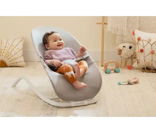Munchkin Spring 2in1 lamamistool ja beebikiik, Grey