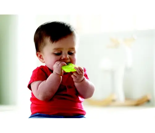 Munchkin jahutatav närimisrõngas