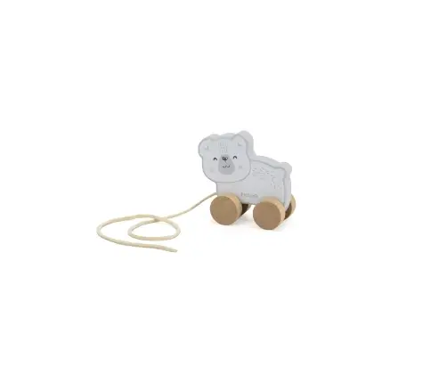 PolarB puidust motoorika mänguasjade komplekt 12-18 kuud