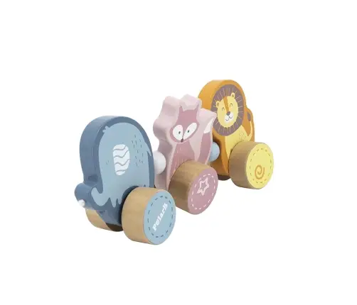 PolarB puidust järelveetav mänguasi