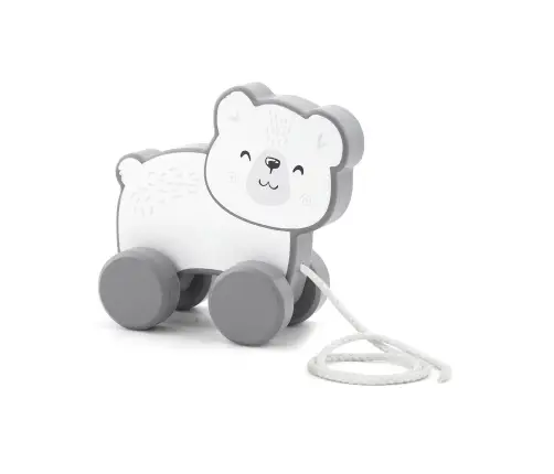 Pull Along and Stacking Set - Polar Bear
