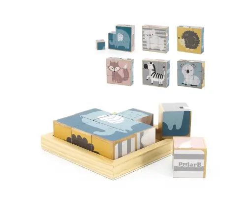 PolarB 6-Side Puzzle Blocks