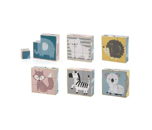 PolarB 6-Side Puzzle Blocks