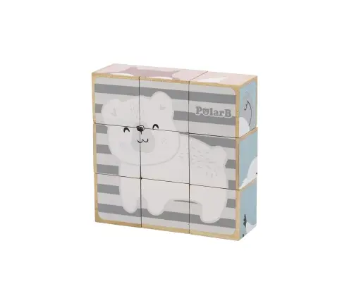 PolarB 6-Side Puzzle Blocks