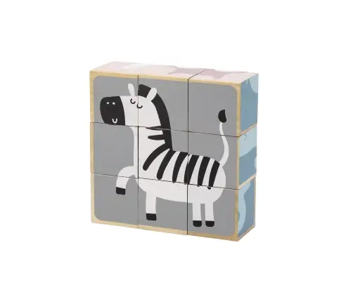 PolarB 6-Side Puzzle Blocks