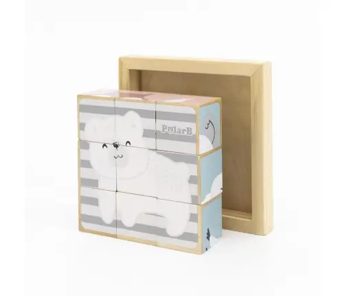 PolarB 6-Side Puzzle Blocks