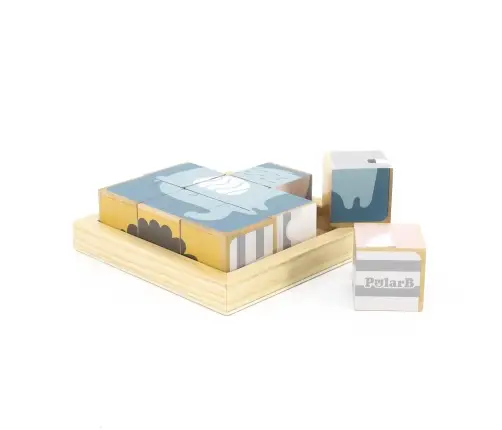 PolarB 6-Side Puzzle Blocks