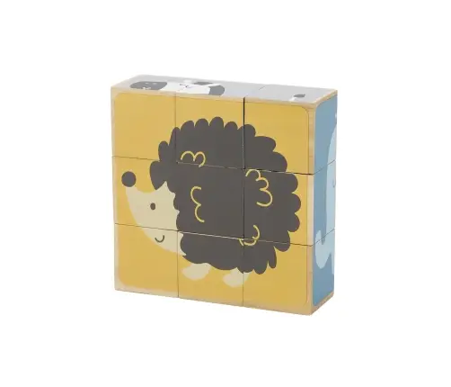 PolarB 6-Side Puzzle Blocks