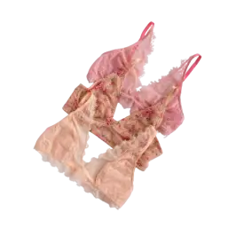 Lingerie and Women's Underwear 