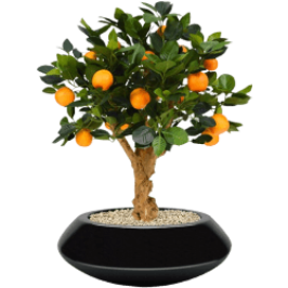 Artificial Flowers