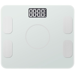 Bathroom scales