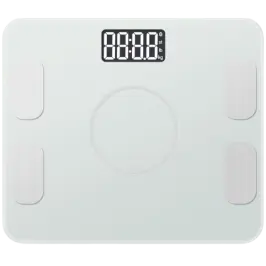 Bathroom scales