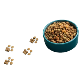Dry cat food