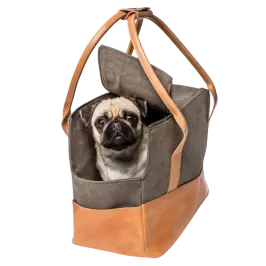 Dog carriers