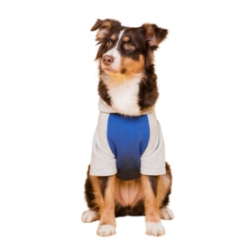 Dog clothes