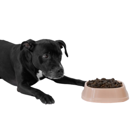 Dry dog food