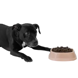 Dry dog food